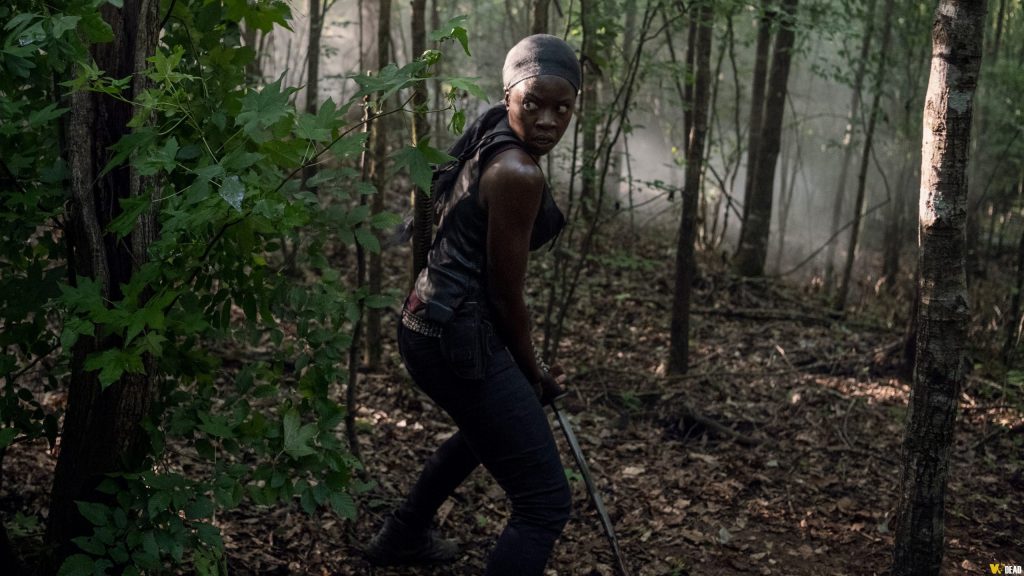 The Walking Dead - Michonne como Salvadora